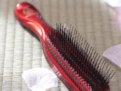Coffret de Noël Scalp Brush+ - Cadeau idéal pour un soin capillaire relaxant et stimulant.