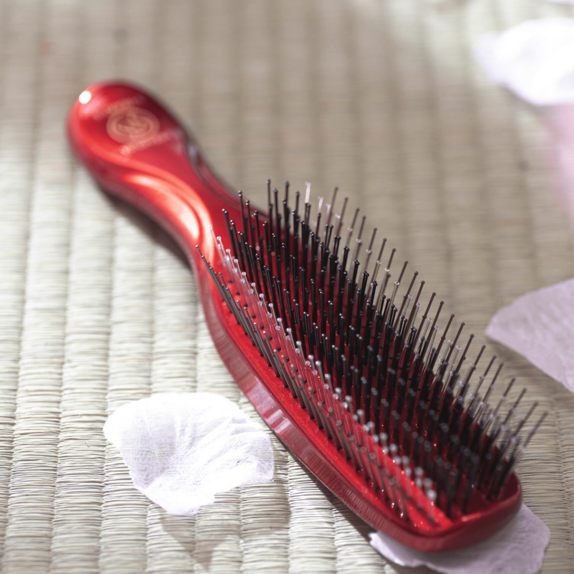 Le Coffret de Noël Scalp Brush+ : Un cadeau d’exception pour vos proches